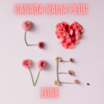 Group logo of Canada Naija Plug Love Zone